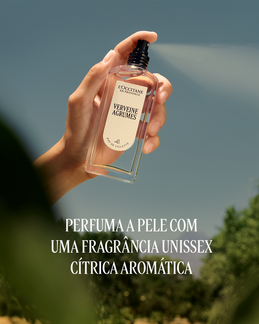 Eau de Toilette Verveine Agrumes 75mL (Verbena Citrus), , large